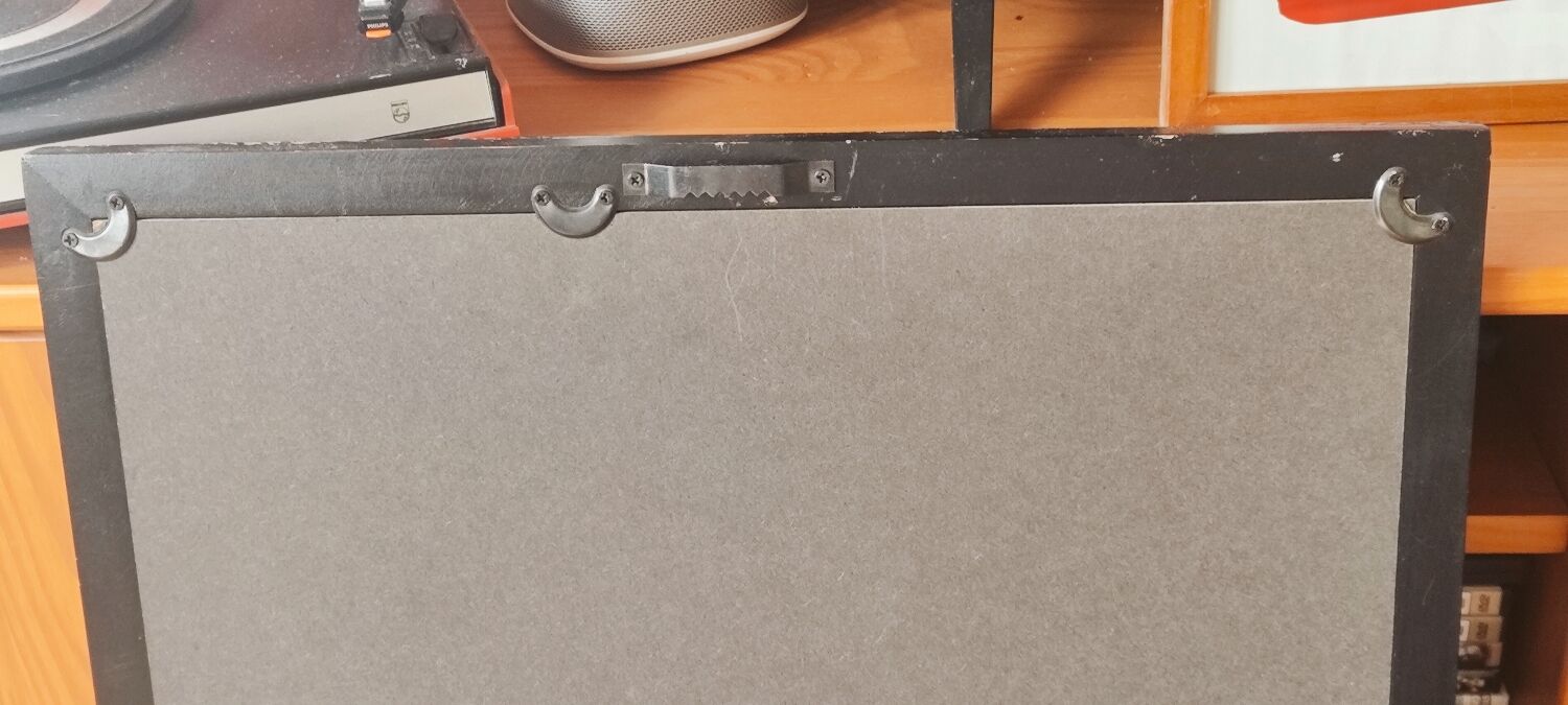 Framed herbarium illustration with a vintage effect.