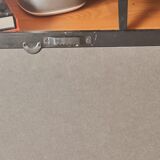 Framed herbarium illustration with a vintage effect.