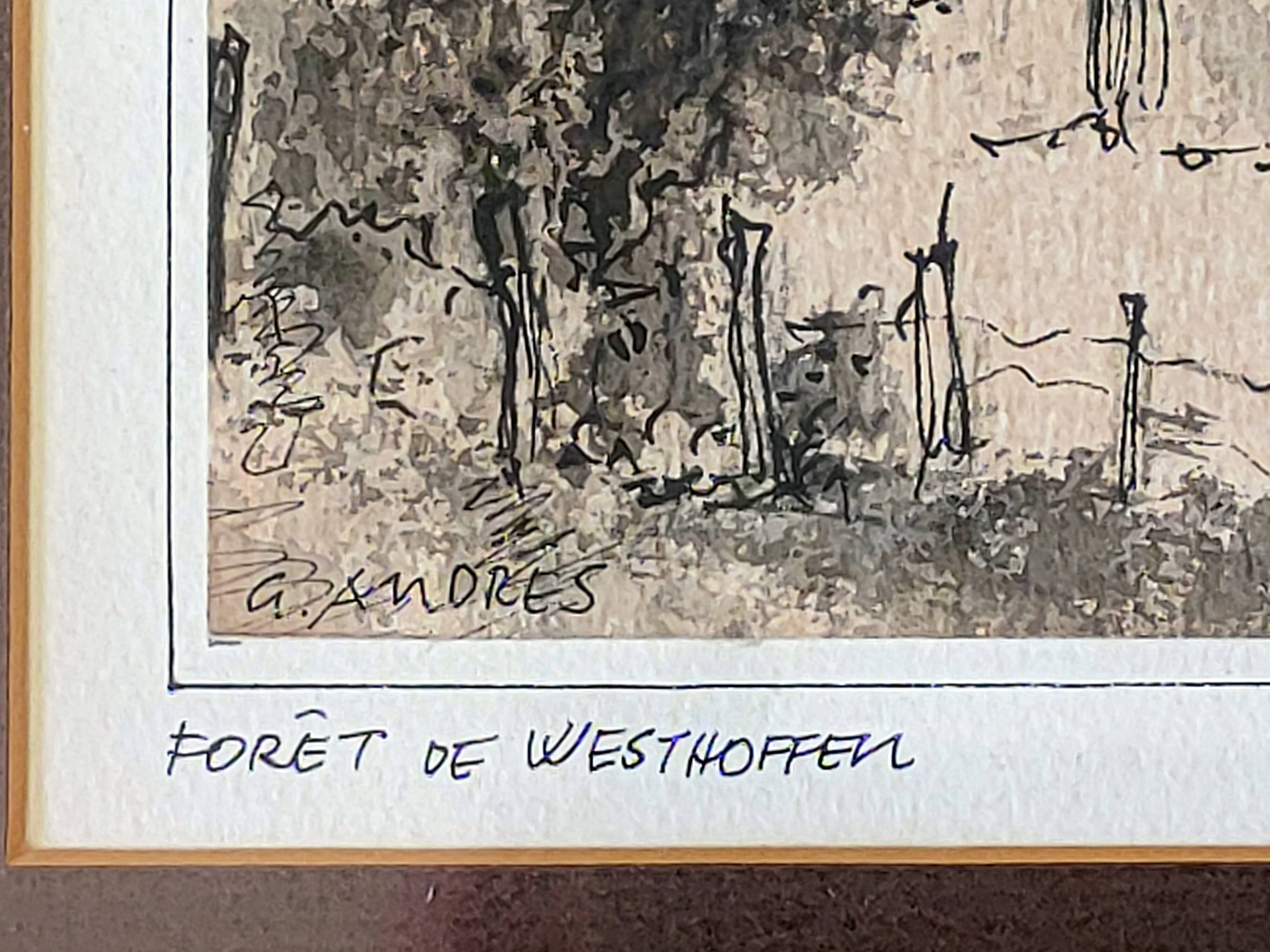 Painting by Gérard ANDRÈS (1930) Watercolored Indian ink Westhoffen Forest