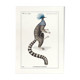 Chimera lithograph engraving animal - the marmoset