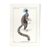 Chimera lithograph engraving animal - the marmoset