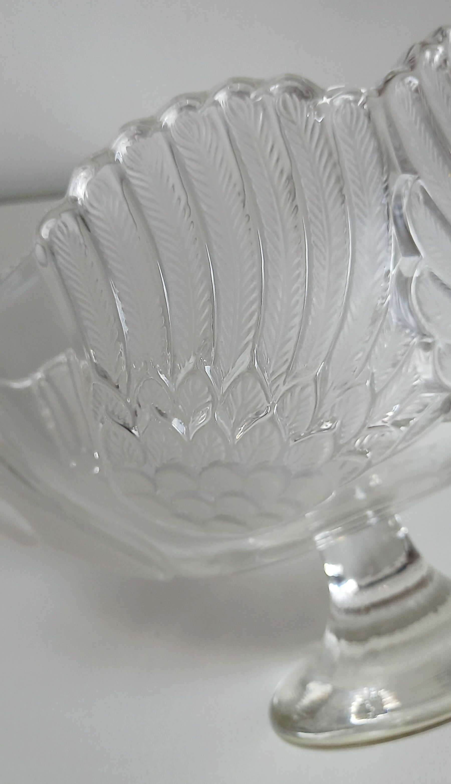 Swan Cup