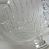 Swan Cup