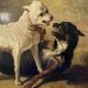 Jean Baptiste Louis Guy? Oil on panel, two bulldogs fighting