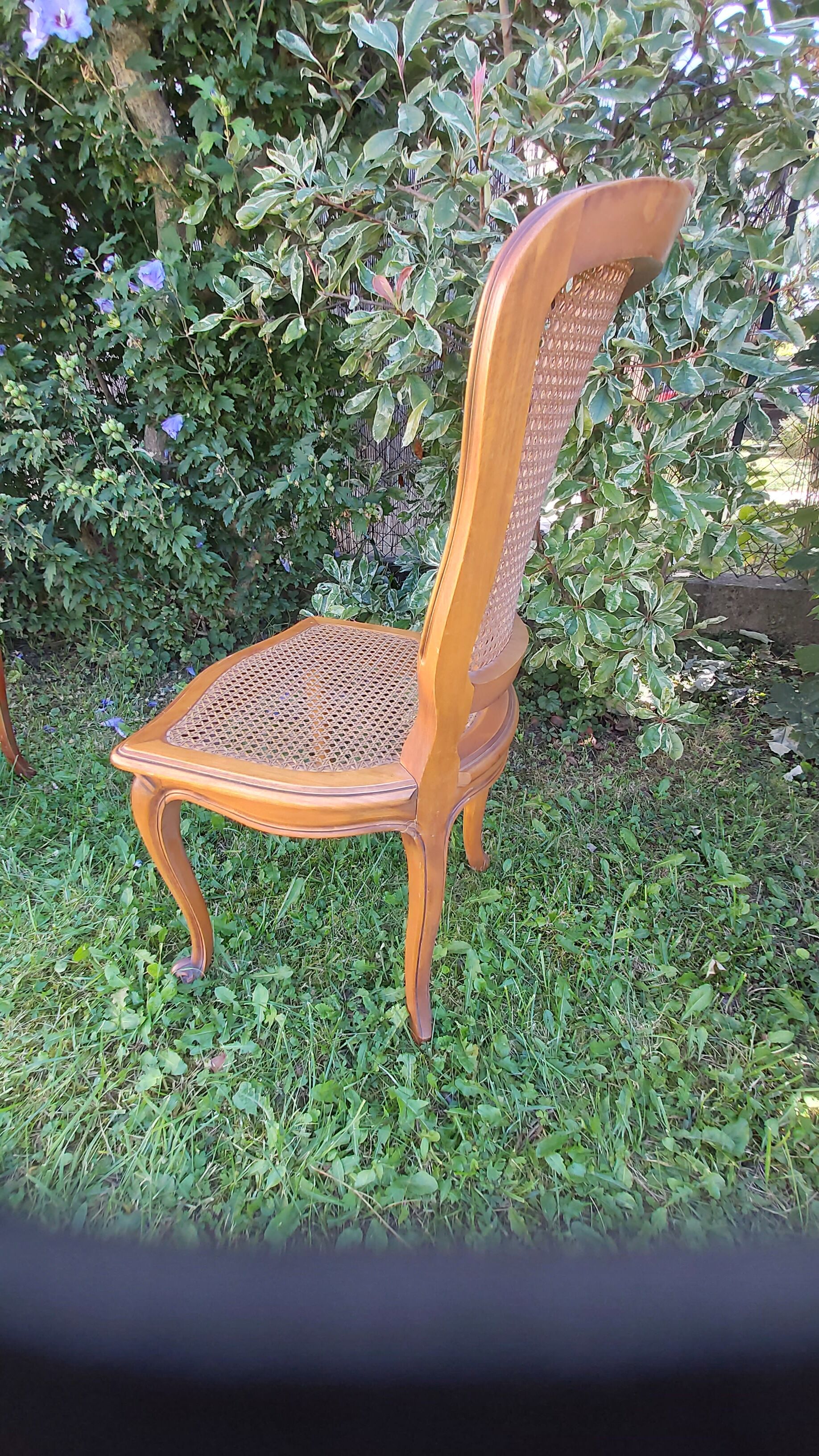Set of three regency cane chairs