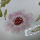 5 mismatched plates Digoin-Sarreguemines