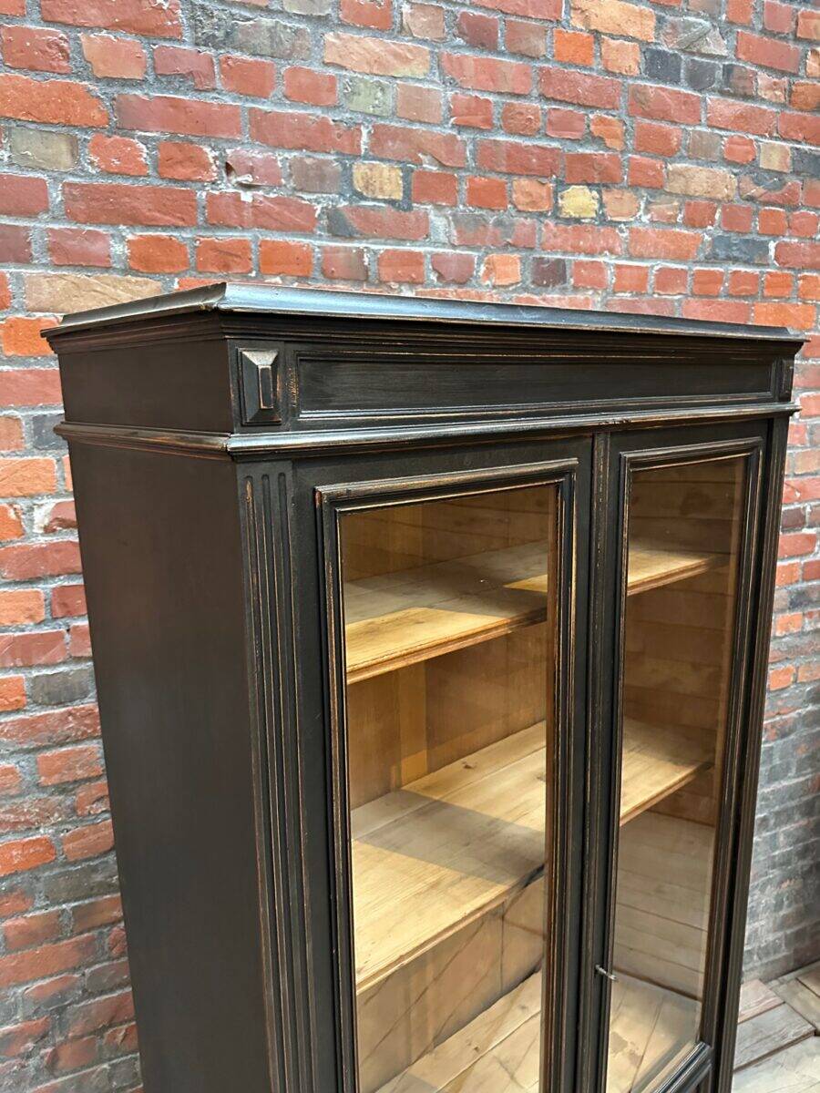 19th Century Two-Door Display Cabinet