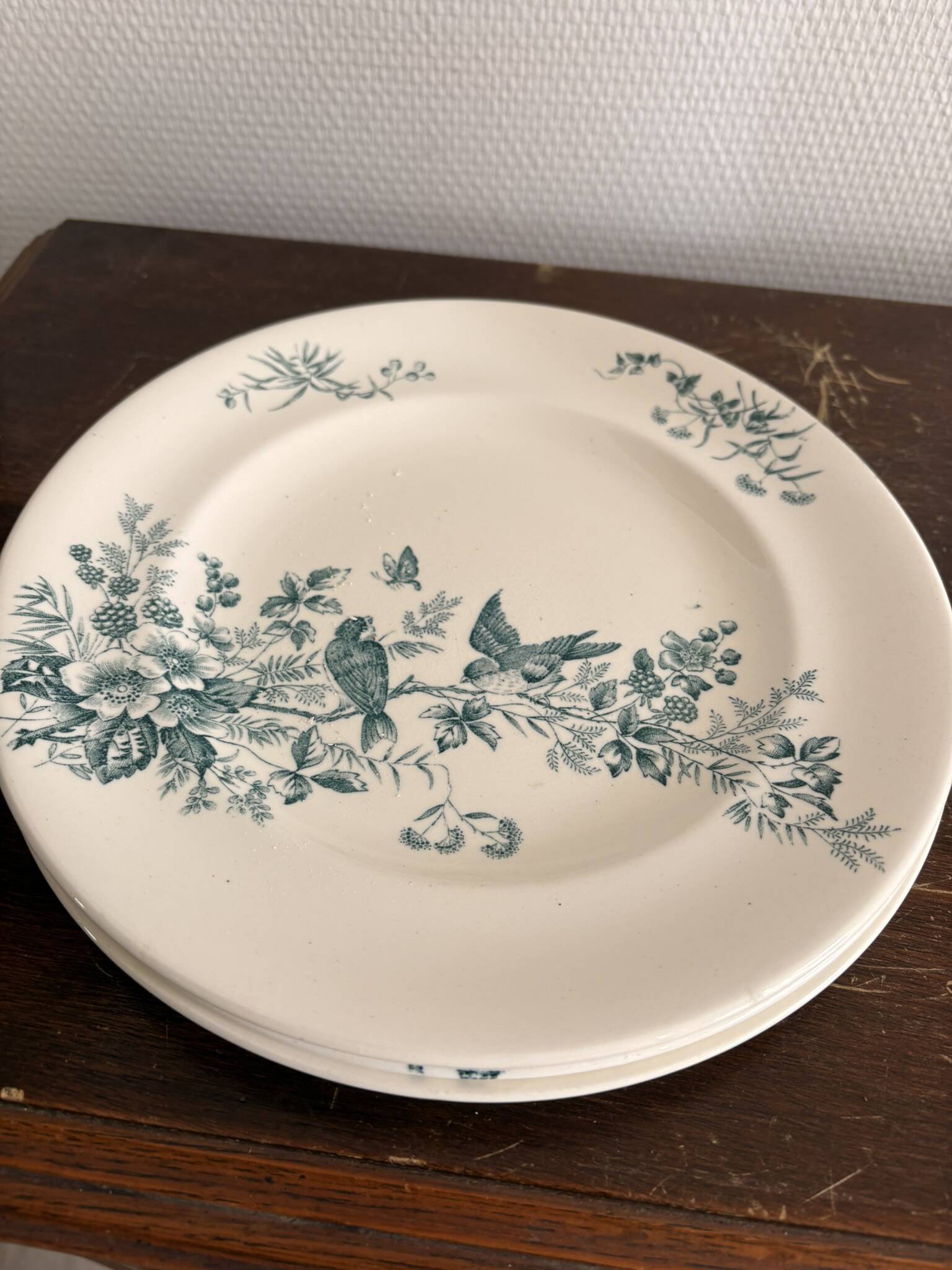 Lot 5 Plate Plates Faience Longwy Model Mignon