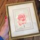Pink watercolor