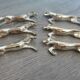 Horse knife holder