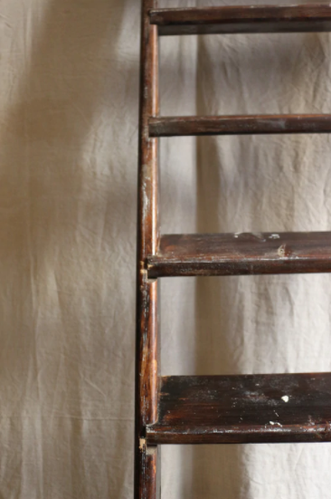 Large old ladder
