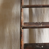 Large old ladder