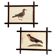 Pair of 19th Century French Folk Art Frames with Pomar Codex Bird Facsimiles