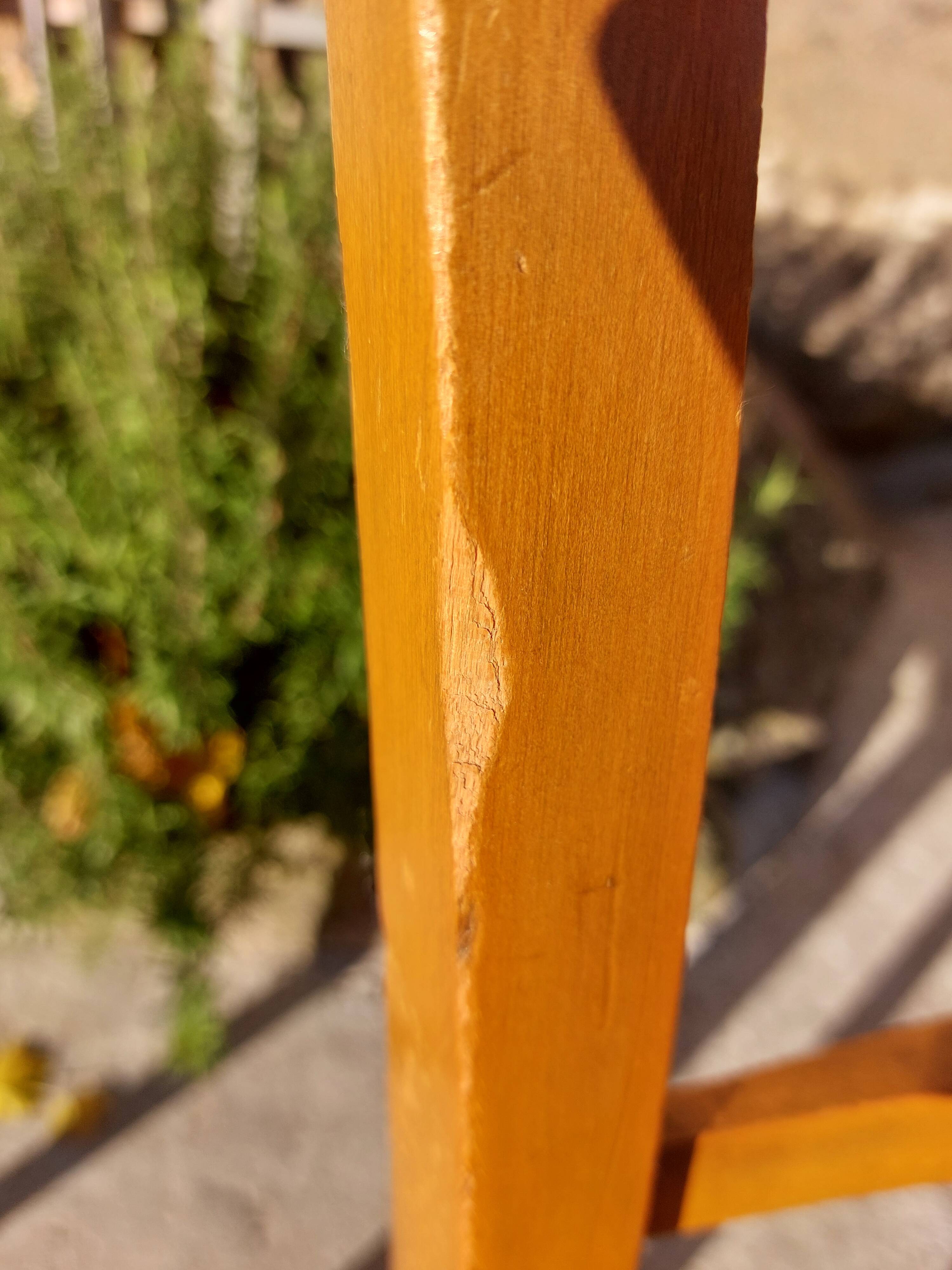 pair of caned chairs, Stella brand