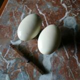 Porcelain door handles