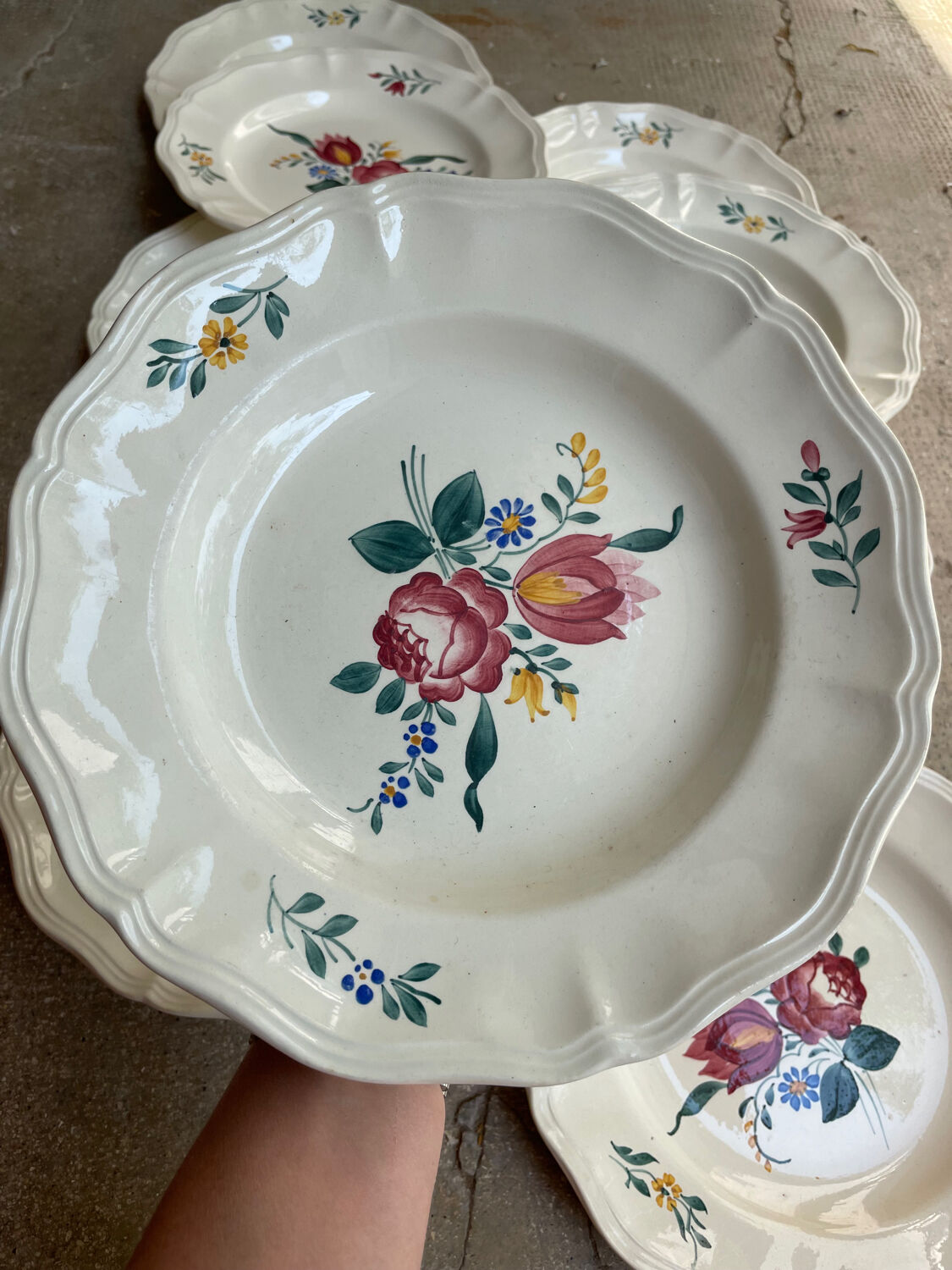 9 plates Sarreguemines