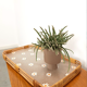 Plateau en rotin vintage avec fleurs