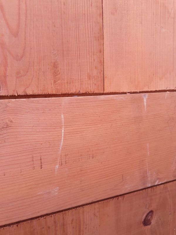 Pair of doors 248x129cm old