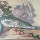 HST painting "Still life with basket and pike" signed H. Baillet 1912