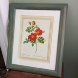 Small pink botanical board