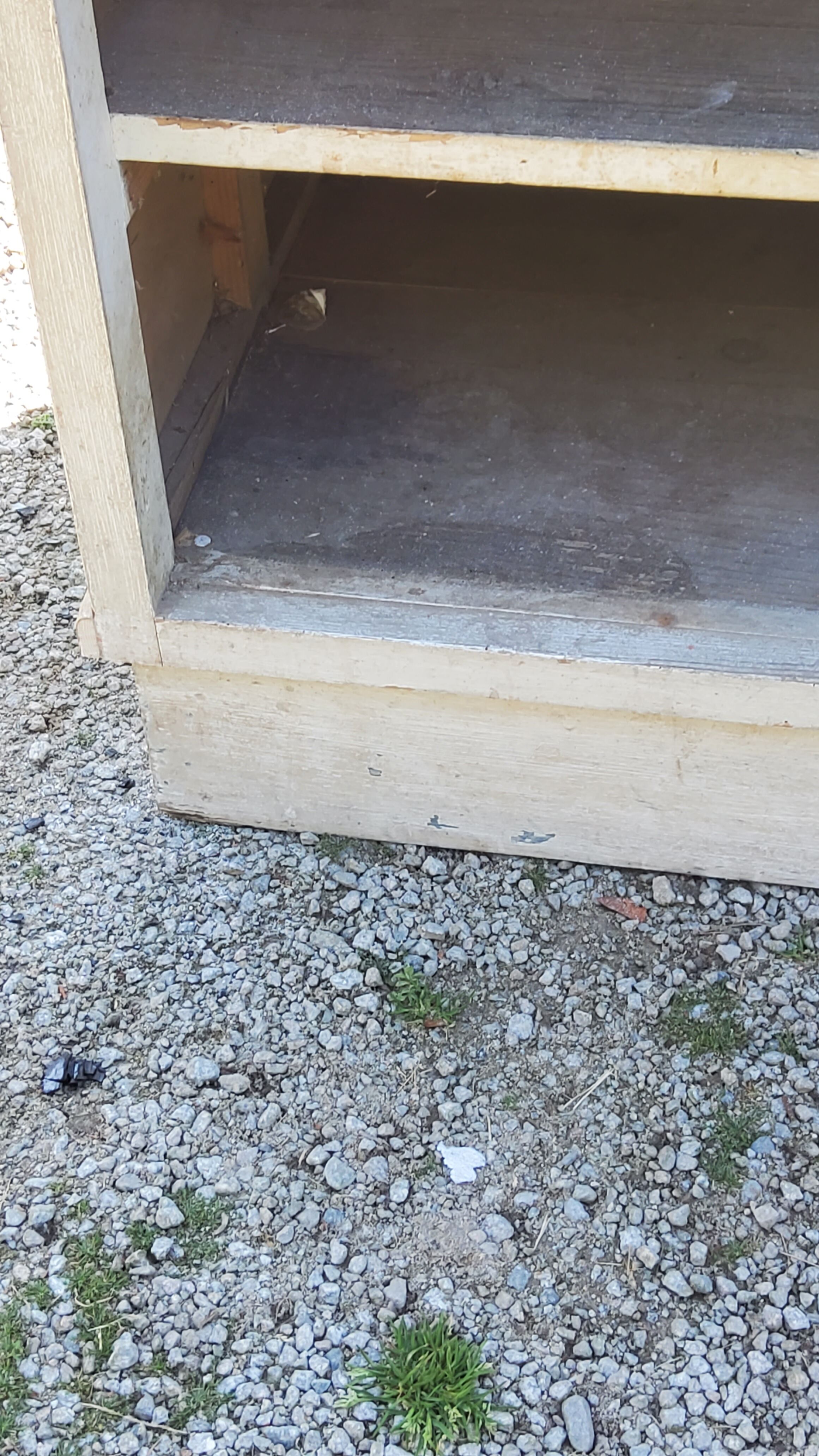 Grocery counter from the 30s