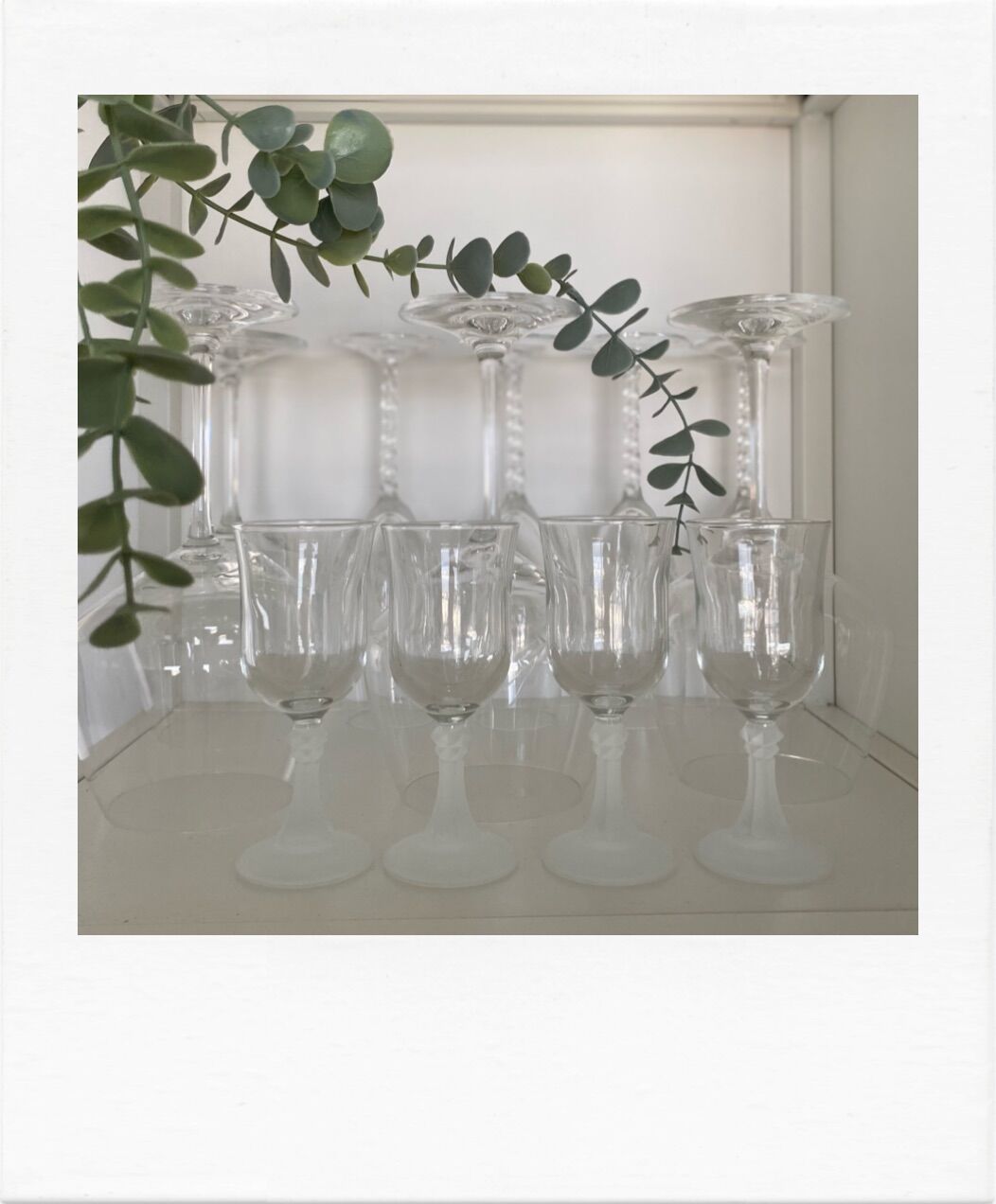 Set de 4 petits verres à pied verre transparent et dépoli