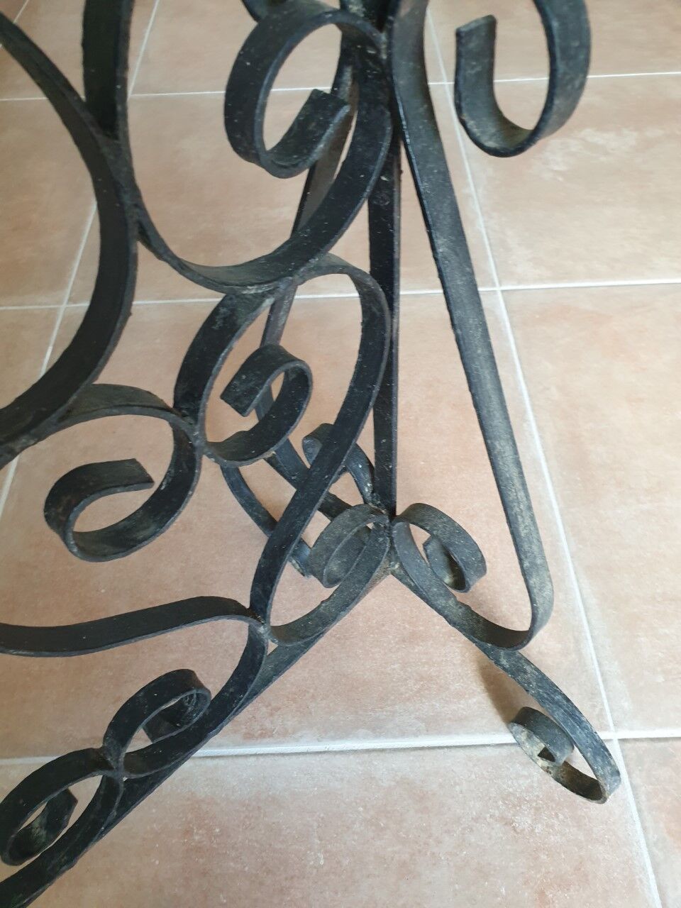 Gate wrought iron plants