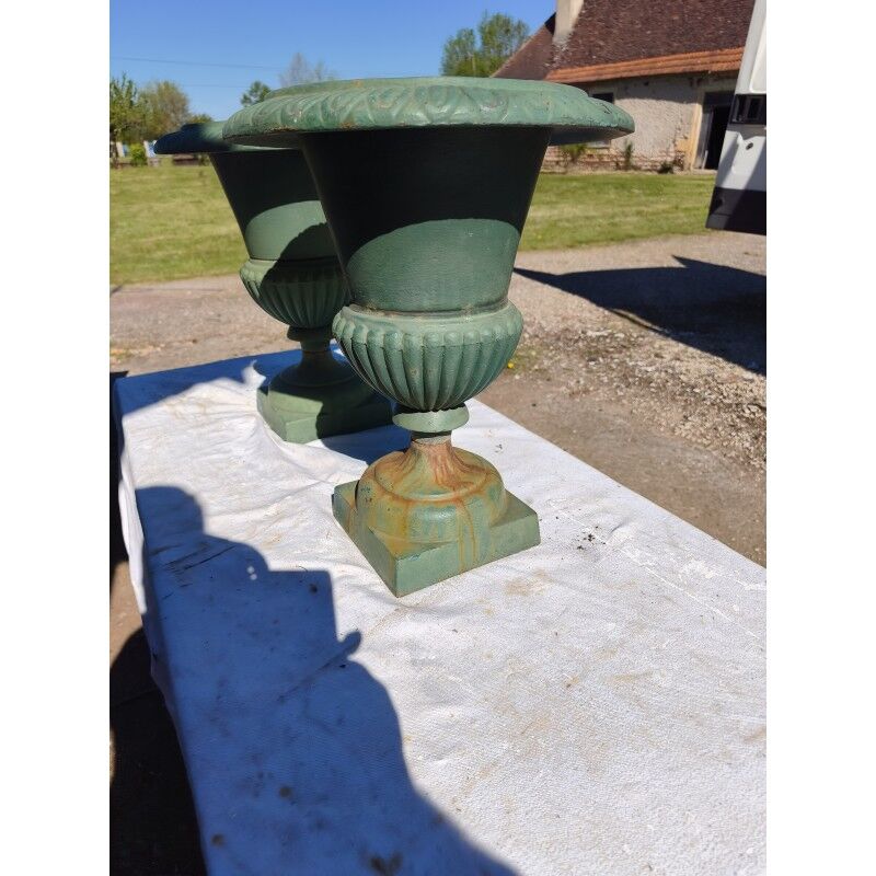 Pair of 19th-century cast iron Medici vases