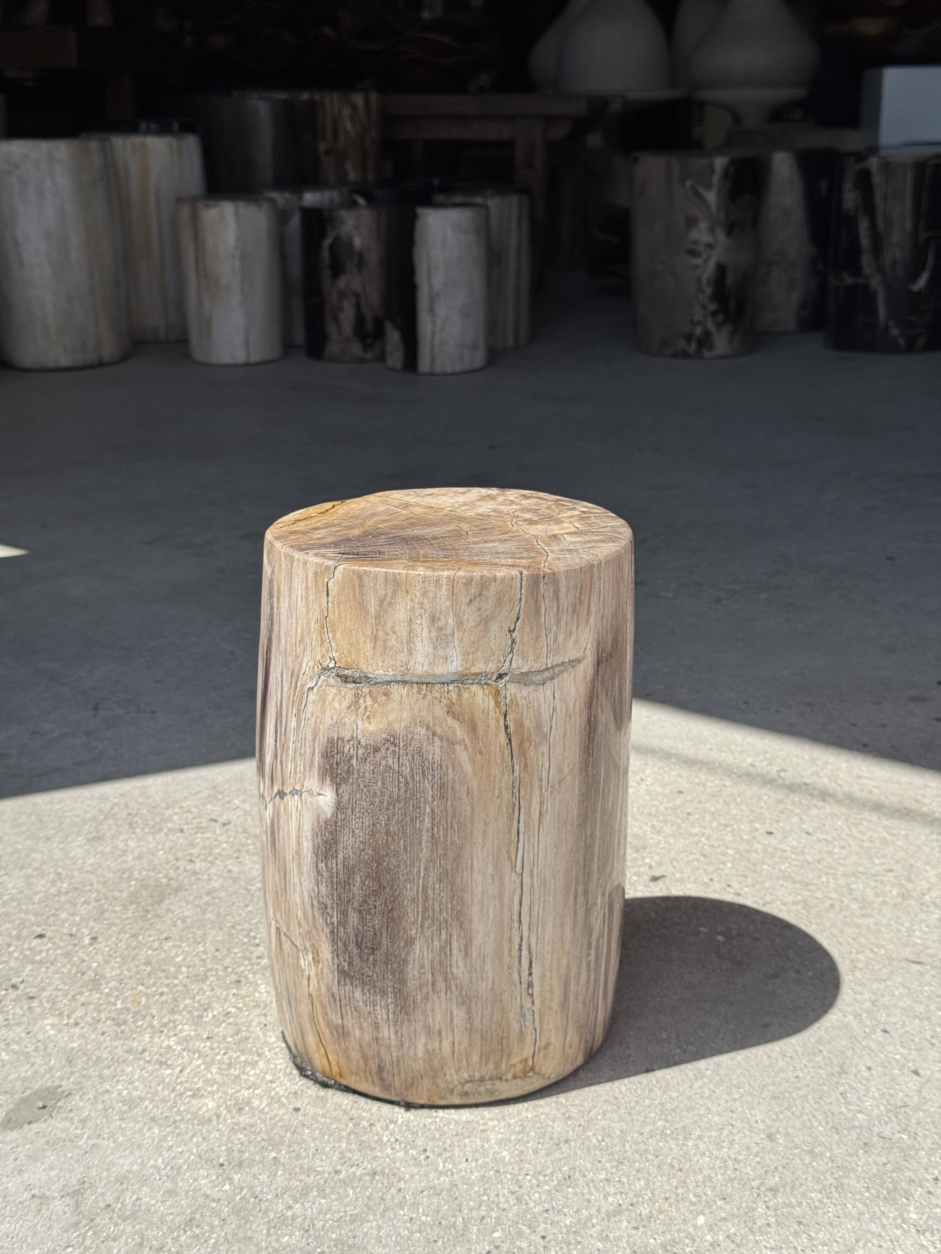 Petite table d'appoint en bois pétrifié beige gris H28 D18 - 3325