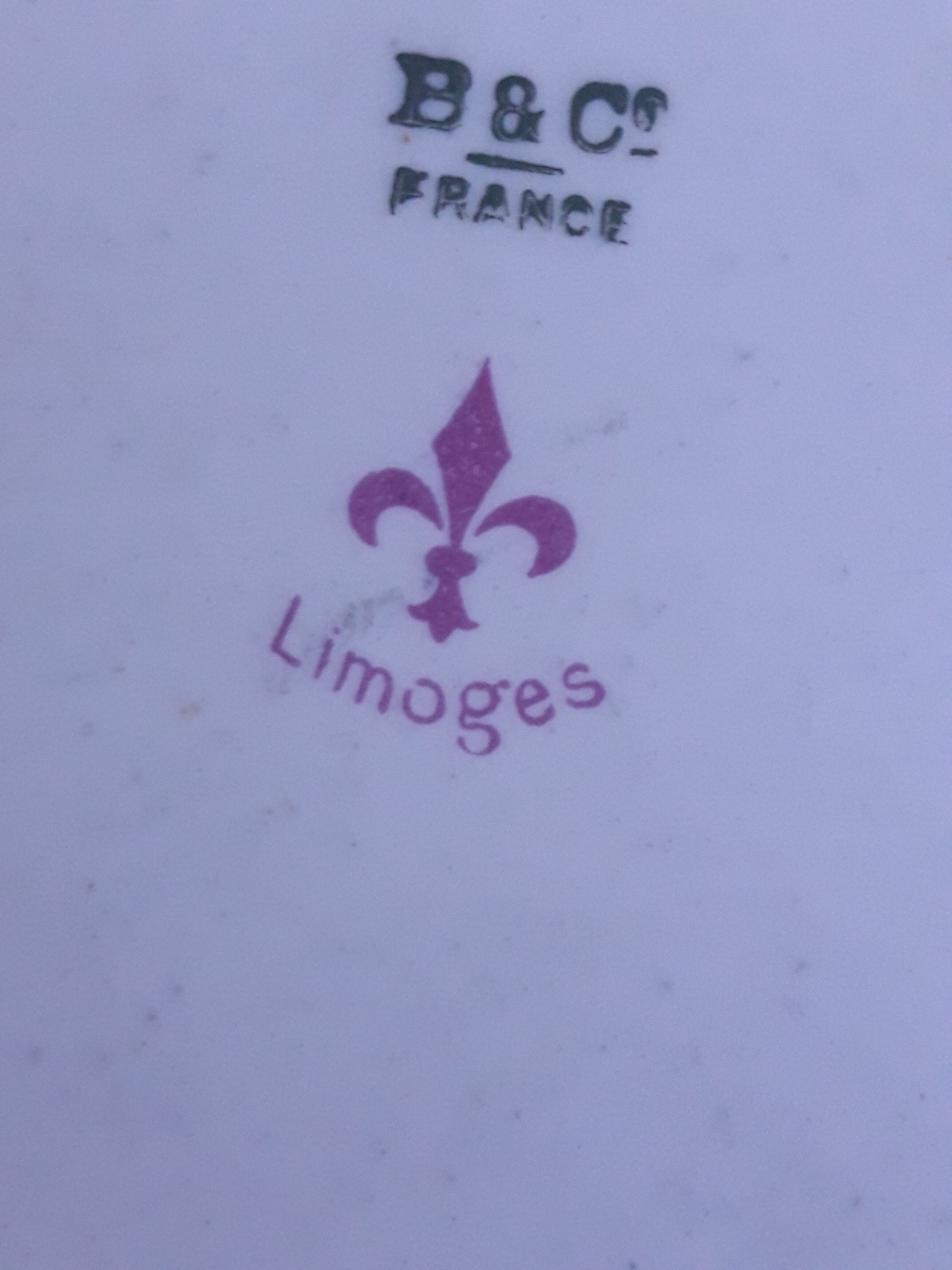 4 cups porcelain mocha service from Limoges Bernardaud and Co.