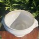 Sarreguemines Pot