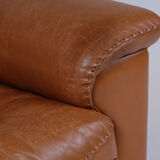 De Sede leather adjustable armchair DS101