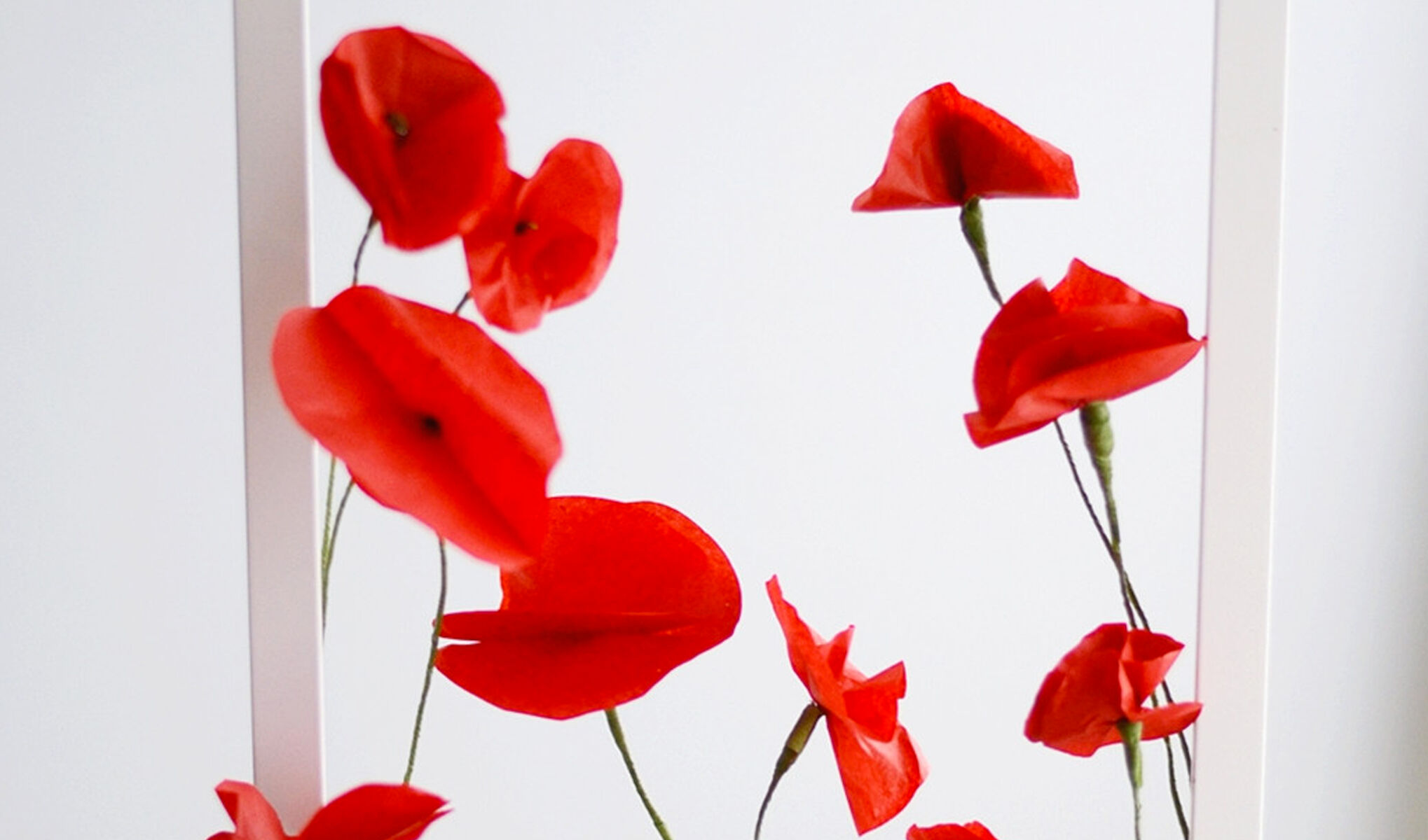 Aussi beau qu'un rouge coquelicot