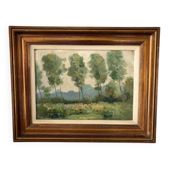 Oil on canvas Landscape with large trees, signed D. Qvyo