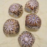 Set of 5 rounds of shell towel