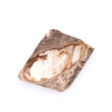 Empty pocket in beige brown carved stone, 1970s
