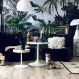 Tulip foot coffee table