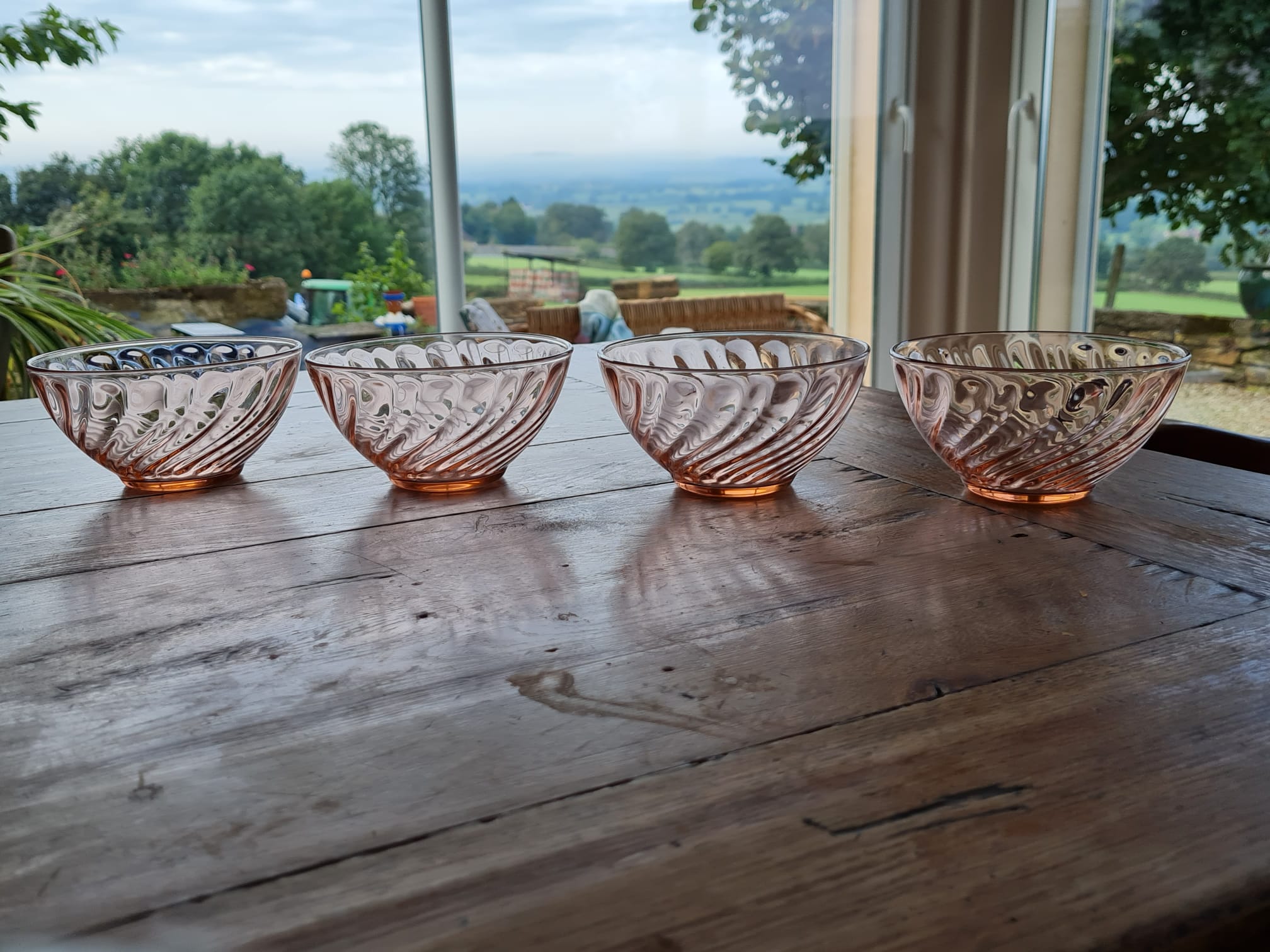 Set of 4 bowls arcopal model rosaline