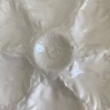 7 oyster plates