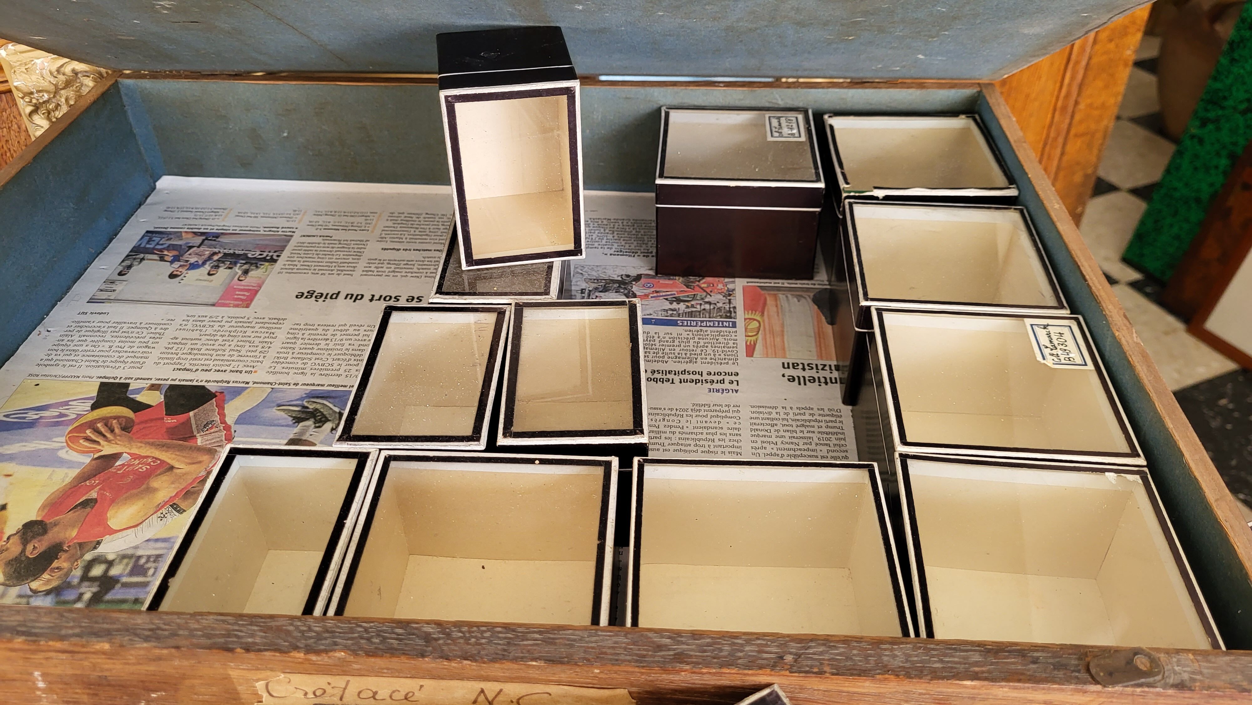 Individual box Entomology Cardboard / Glass