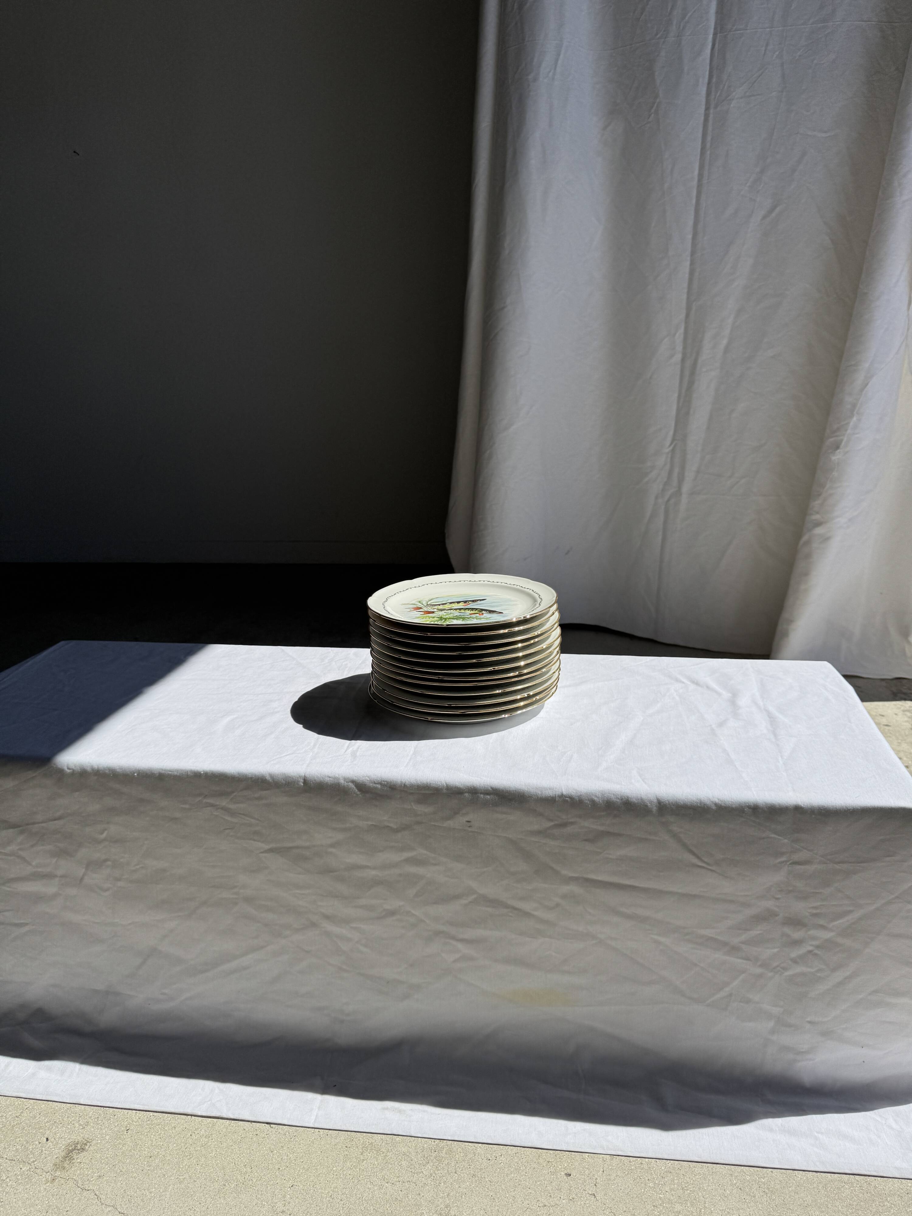 Set of 6 vintage Limoges porcelain plates with fish design.