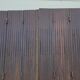 Ancient persians in pine
