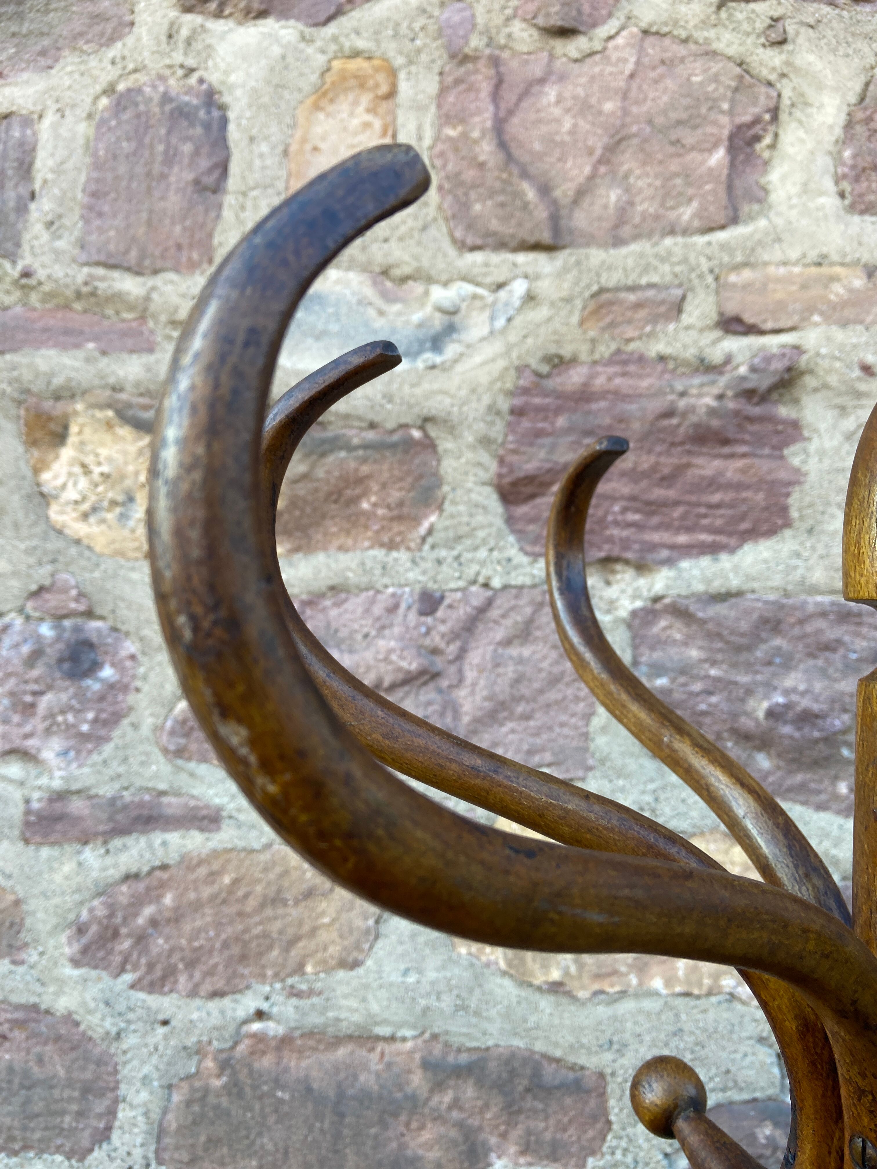 Bentwood coat rack