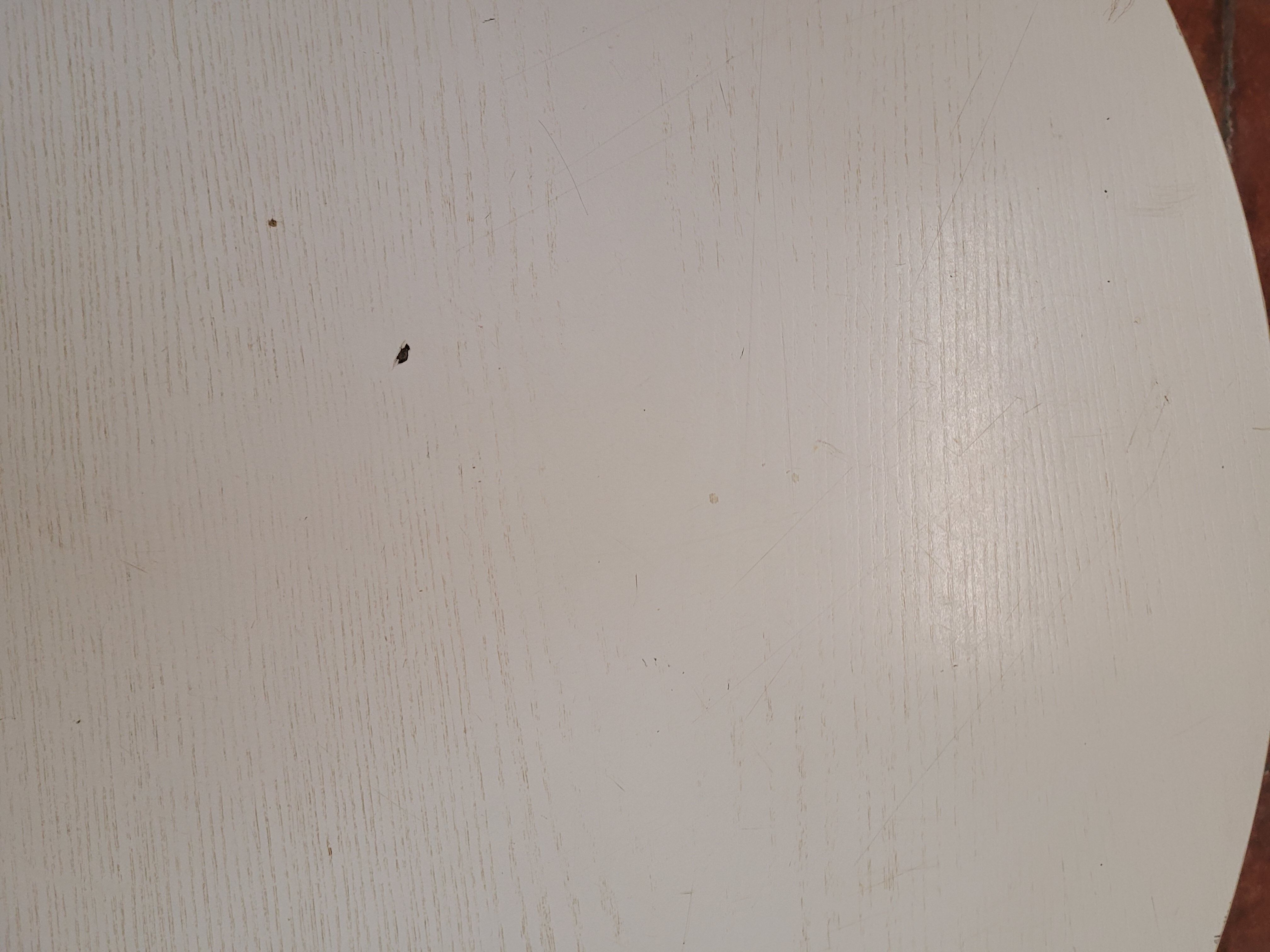 Tulip foot coffee table