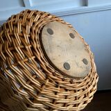 Basket hides wicker pot