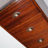 Dutch Industrial Mahogany Apothecary Cabinet, Mid-20th Century