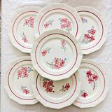 7 flat plates St-Amand Ceranord