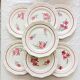 7 flat plates St-Amand Ceranord