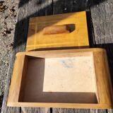 Box in olive tree