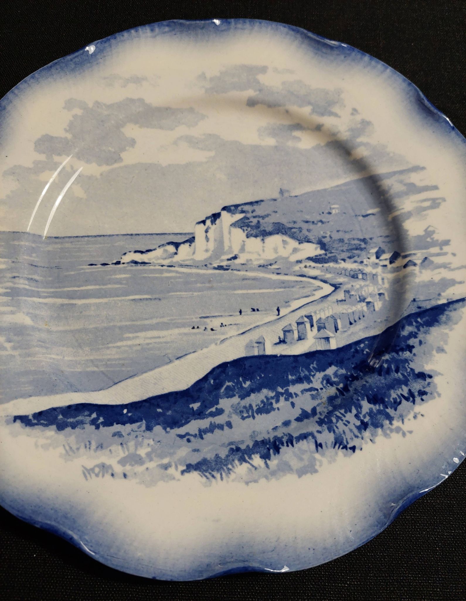 Sarreguemines earthenware plate with Marine decor late 19th century early 20th century